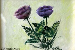 Violet roses