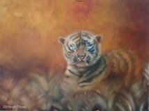 Cub