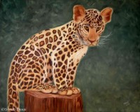 Jaggi the leopard