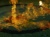Light on Water