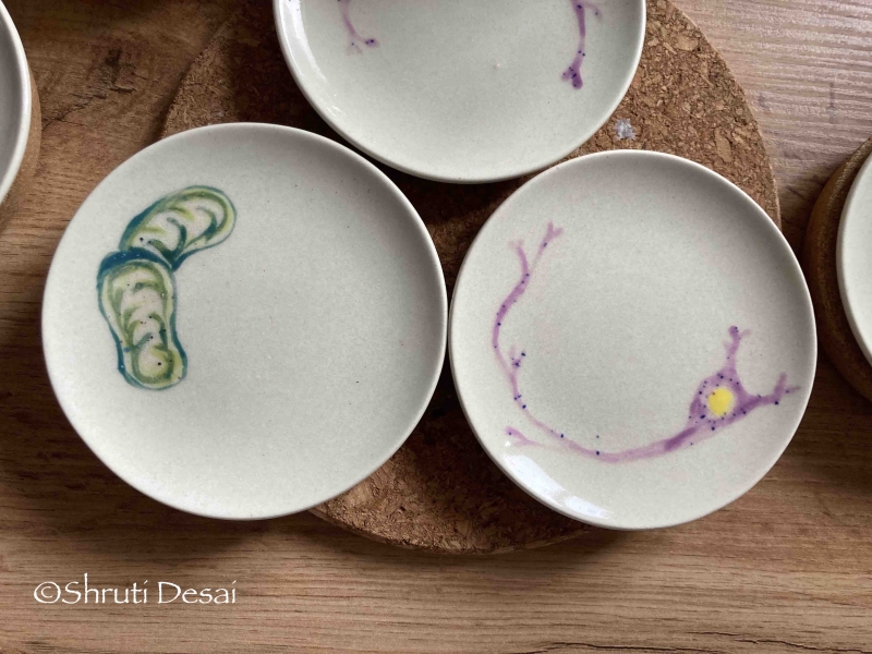 Painted Dishes