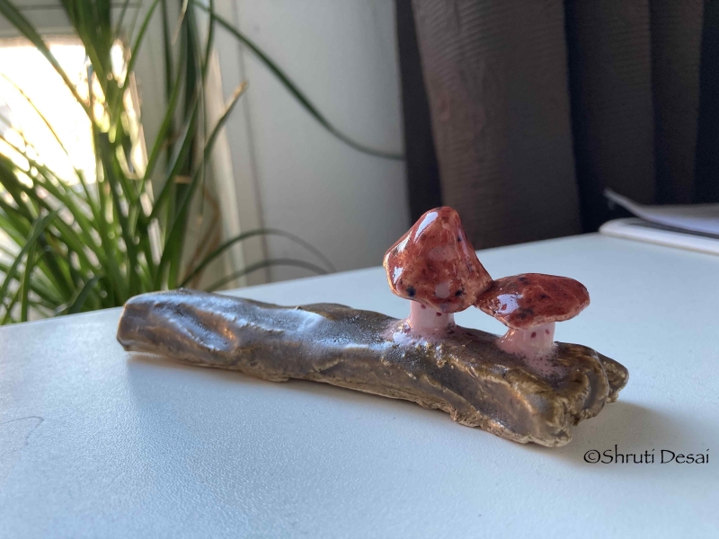 Red Mushroom