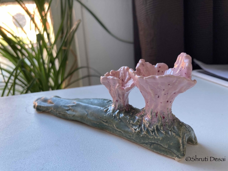 Pink Mushroom