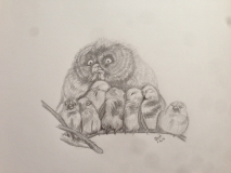 A brood of owlets