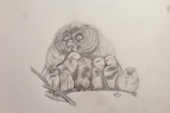 A brood of owlets