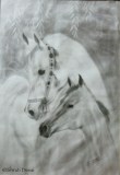horses-pencils-20-x-14
