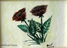 Brown rose