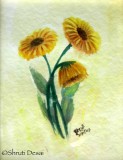 Yellow blooms